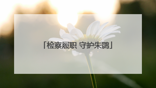 检察履职 守护朱鹮