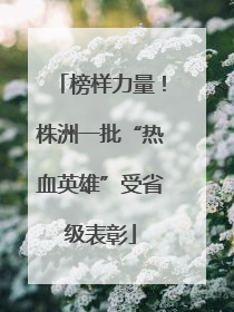 榜样力量！株洲一批“热血英雄”受省级表彰