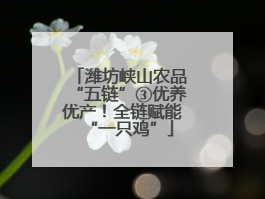 潍坊峡山农品“五链”③优养优产！全链赋能“一只鸡”