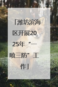 潍坊滨海区开展2025年“一喷三防”工作