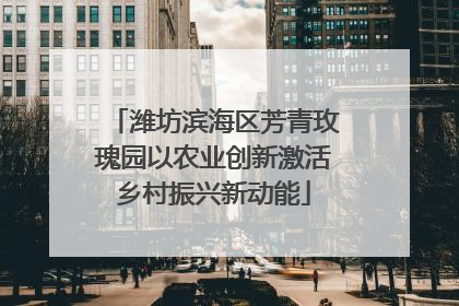 潍坊滨海区芳青玫瑰园以农业创新激活乡村振兴新动能