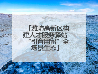 潍坊高新区构建人才服务驿站“引育用留”全场景生态