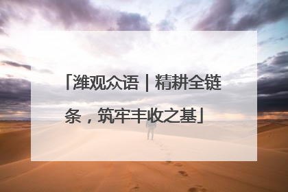 潍观众语｜精耕全链条，筑牢丰收之基