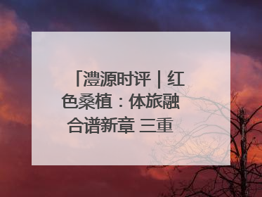 澧源时评｜红色桑植：体旅融合谱新章 三重叙事绘华光