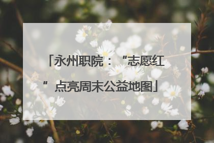 永州职院：“志愿红”点亮周末公益地图