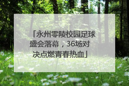永州零陵校园足球盛会落幕，36场对决点燃青春热血