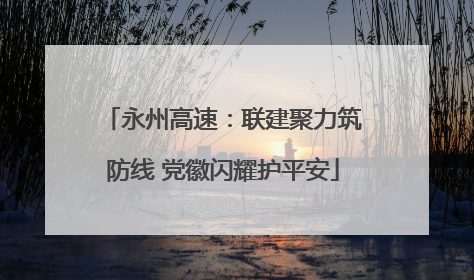 永州高速：联建聚力筑防线 党徽闪耀护平安