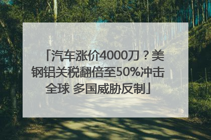 汽车涨价4000刀？美钢铝关税翻倍至50%冲击全球 多国威胁反制