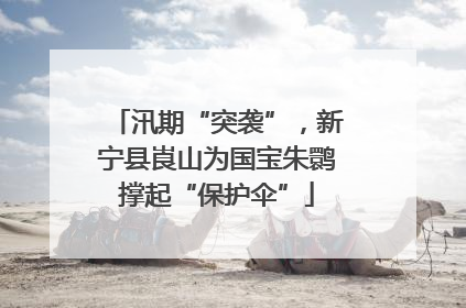 汛期“突袭”，新宁县崀山为国宝朱鹮撑起“保护伞”