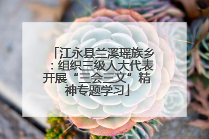 江永县兰溪瑶族乡：组织三级人大代表开展“三会三文”精神专题学习