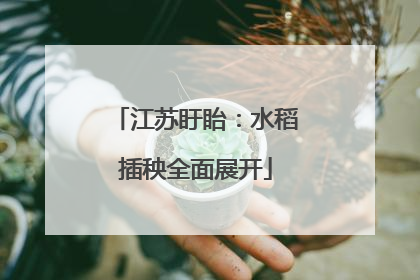 江苏盱眙：水稻插秧全面展开