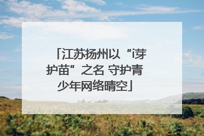 江苏扬州以“i芽护苗”之名 守护青少年网络晴空