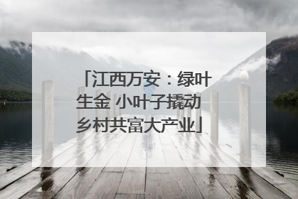江西万安：绿叶生金 小叶子撬动乡村共富大产业