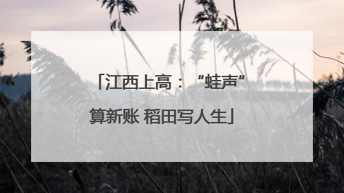 江西上高：“蛙声”算新账 稻田写人生
