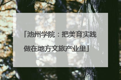池州学院：把美育实践做在地方文旅产业里