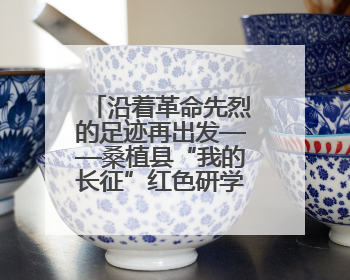 沿着革命先烈的足迹再出发——桑植县“我的长征”红色研学活动启动