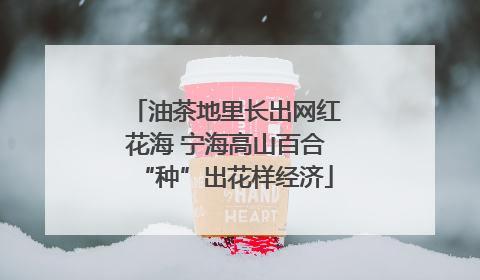 油茶地里长出网红花海 宁海高山百合“种”出花样经济
