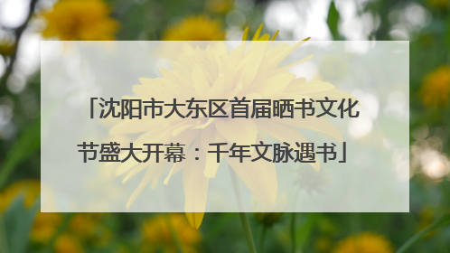沈阳市大东区首届晒书文化节盛大开幕：千年文脉遇书