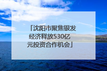 沈阳市聚焦银发经济释放530亿元投资合作机会