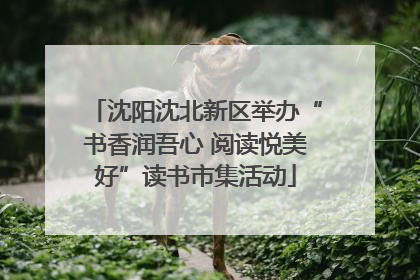 沈阳沈北新区举办“书香润吾心 阅读悦美好”读书市集活动