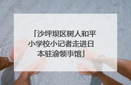 沙坪坝区树人和平小学校小记者走进日本驻渝领事馆