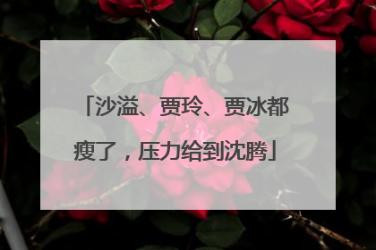 沙溢、贾玲、贾冰都瘦了，压力给到沈腾