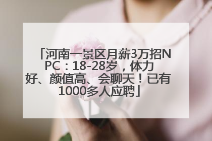 河南一景区月薪3万招NPC：18-28岁，体力好、颜值高、会聊天！已有1000多人应聘