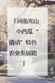 河南光山：小西瓜“撬动”特色农业发展路