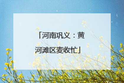河南巩义：黄河滩区麦收忙