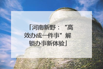 河南新野：“高效办成一件事”解锁办事新体验
