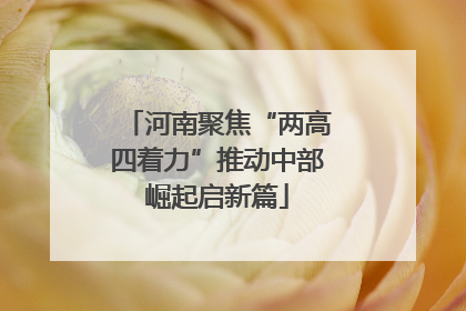 河南聚焦“两高四着力”推动中部崛起启新篇