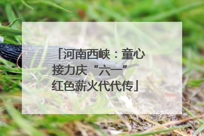 河南西峡：童心接力庆“六一” 红色薪火代代传