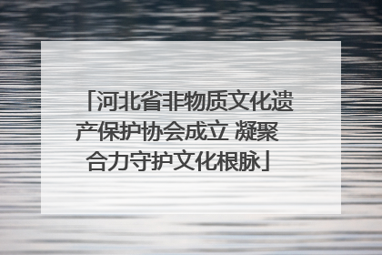 河北省非物质文化遗产保护协会成立 凝聚合力守护文化根脉