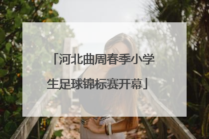 河北曲周春季小学生足球锦标赛开幕