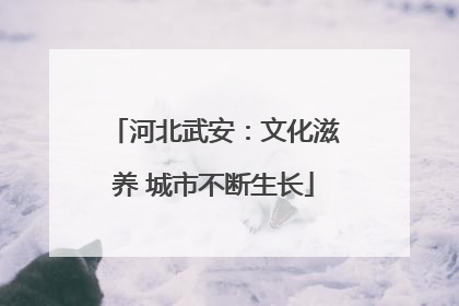 河北武安：文化滋养 城市不断生长