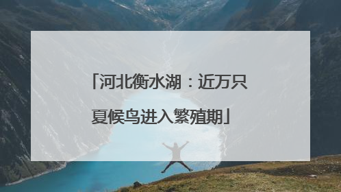 河北衡水湖：近万只夏候鸟进入繁殖期