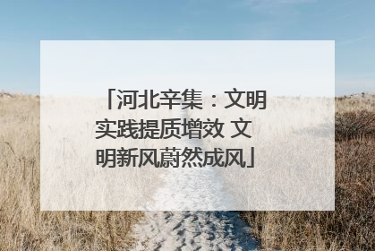 河北辛集：文明实践提质增效 文明新风蔚然成风