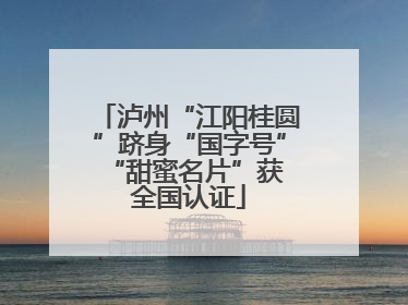 泸州“江阳桂圆”跻身“国字号” “甜蜜名片”获全国认证