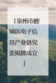 泉州市鲤城区电子信息产业链党委揭牌成立