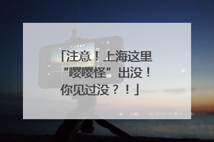 注意！上海这里“嘤嘤怪”出没！你见过没？！