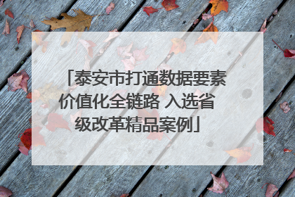 泰安市打通数据要素价值化全链路 入选省级改革精品案例