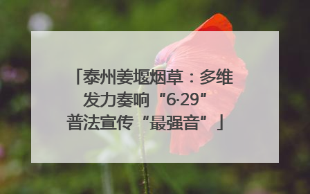 泰州姜堰烟草：多维发力奏响“6·29”普法宣传“最强音”