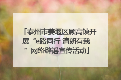 泰州市姜堰区顾高镇开展“e路同行 清朗有我”网络辟谣宣传活动