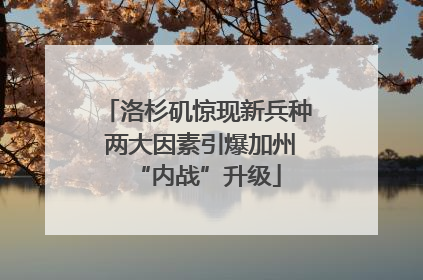 洛杉矶惊现新兵种 两大因素引爆加州“内战”升级