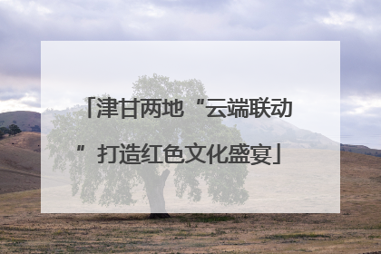 津甘两地“云端联动”打造红色文化盛宴