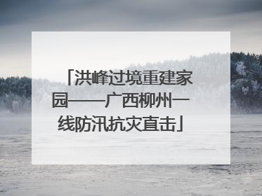 洪峰过境重建家园——广西柳州一线防汛抗灾直击