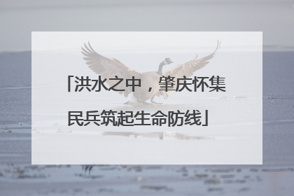 洪水之中，肇庆怀集民兵筑起生命防线