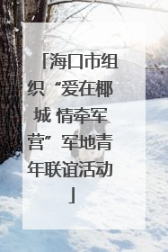 海口市组织“爱在椰城 情牵军营”军地青年联谊活动