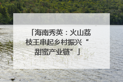 海南秀英：火山荔枝王串起乡村振兴“甜蜜产业链”