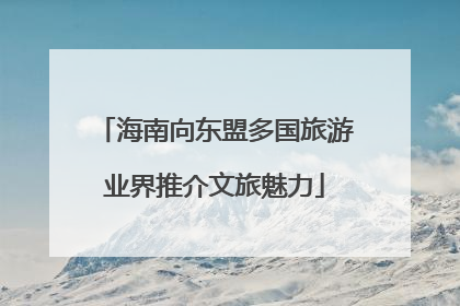 海南向东盟多国旅游业界推介文旅魅力